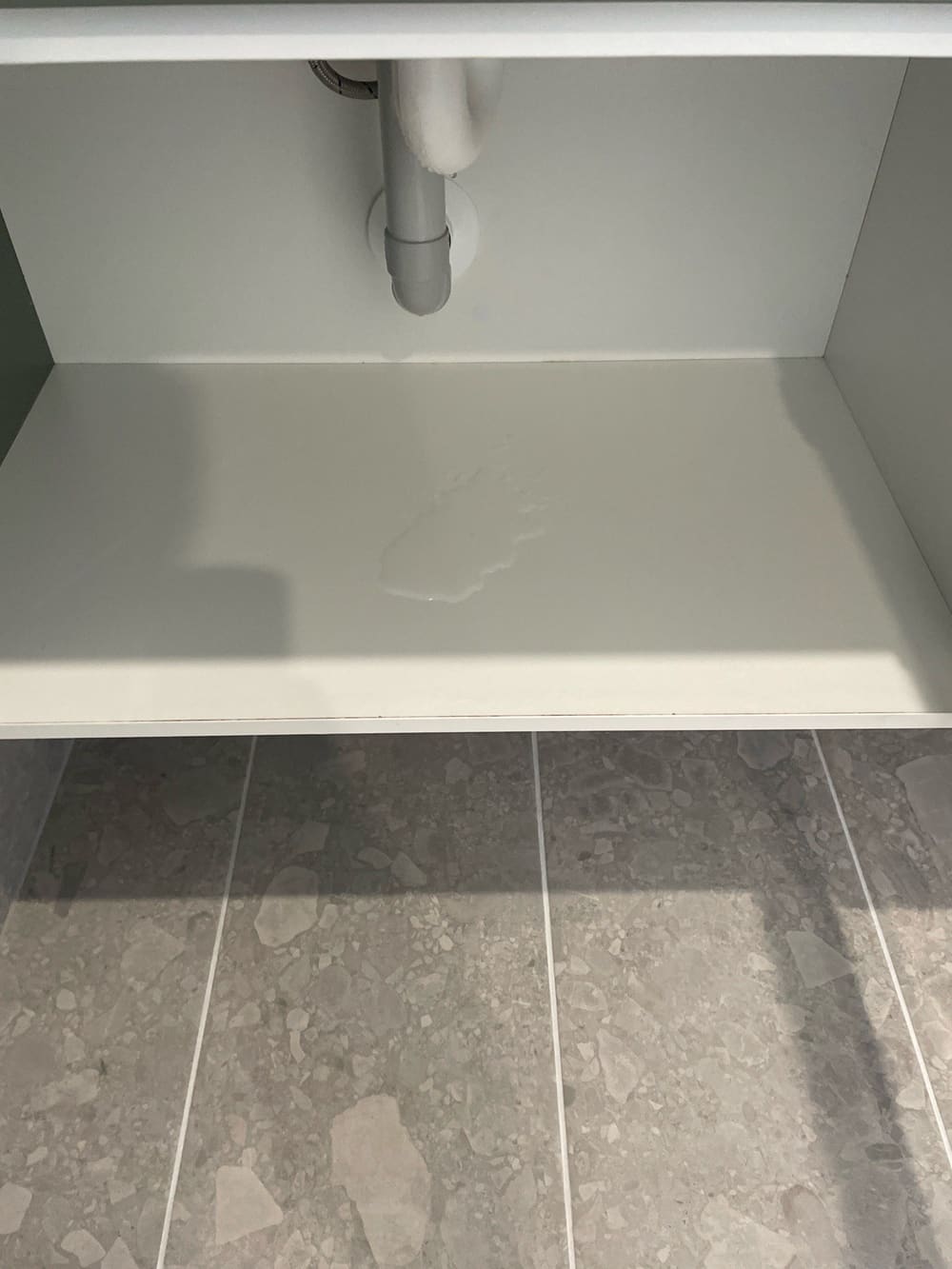 Basin waste leakage, recorded during a pre-purchase inspection in Flagstone